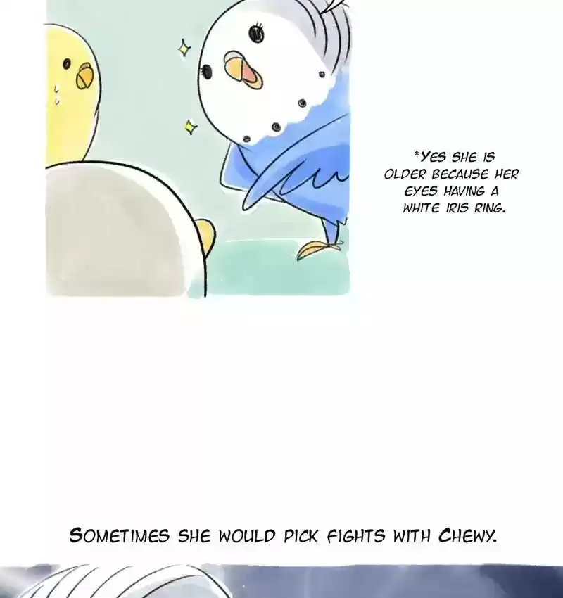 A Budgie's Life Chapter 80: Ep.80:
