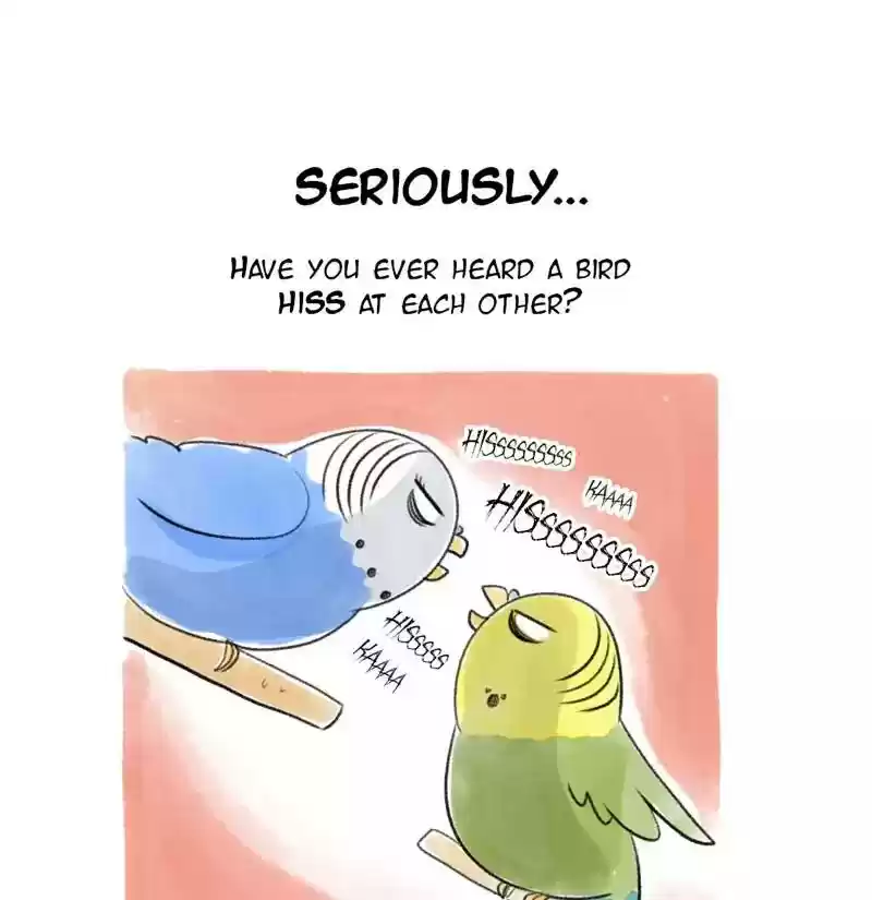 A Budgie's Life Chapter 80: Ep.80: