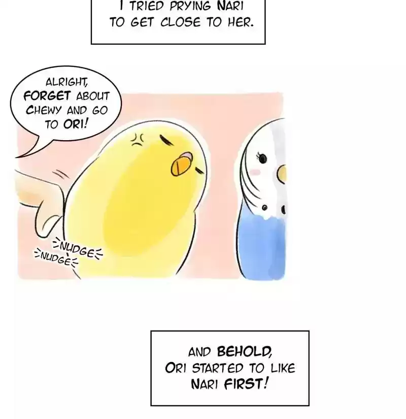 A Budgie's Life Chapter 80: Ep.80: