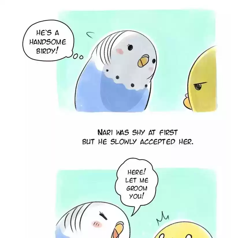 A Budgie's Life Chapter 80: Ep.80: