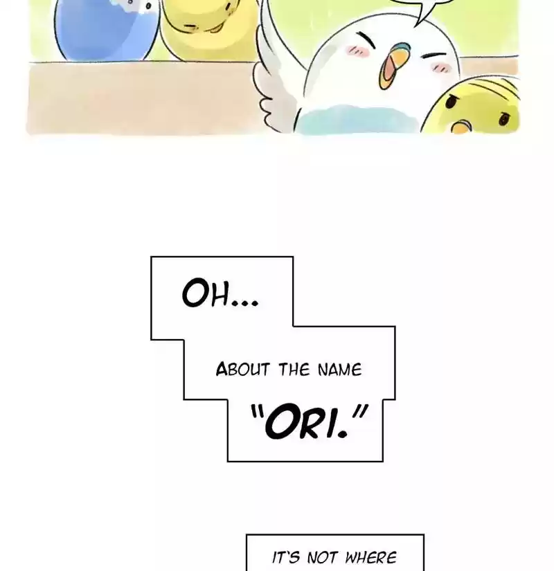 A Budgie's Life Chapter 80: Ep.80: