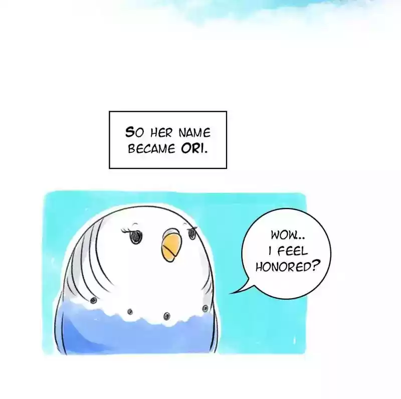 A Budgie's Life Chapter 80: Ep.80: