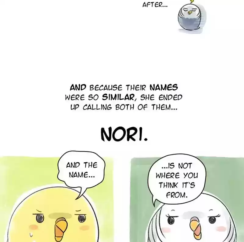 A Budgie's Life Chapter 80: Ep.80: