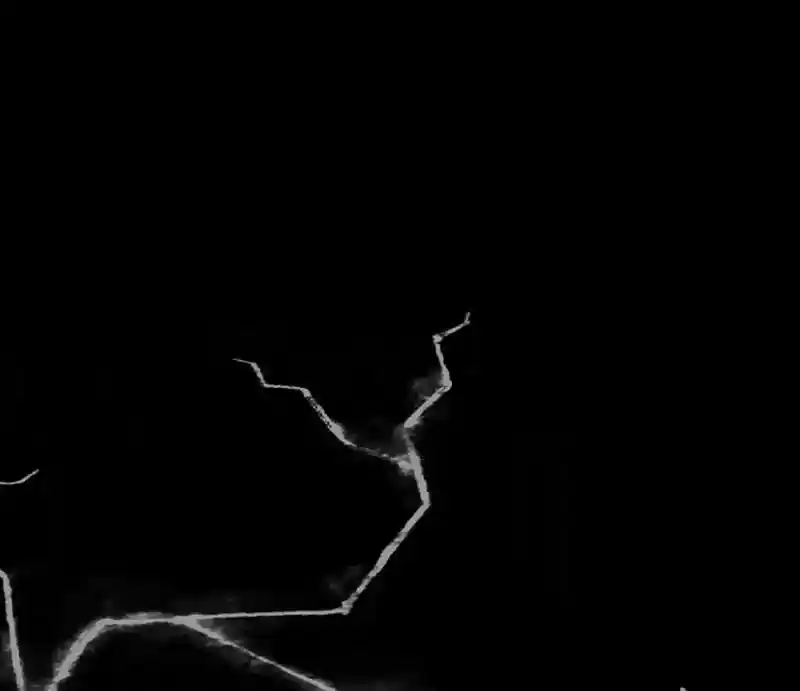 A Budgie's Life Chapter 80: Ep.80: