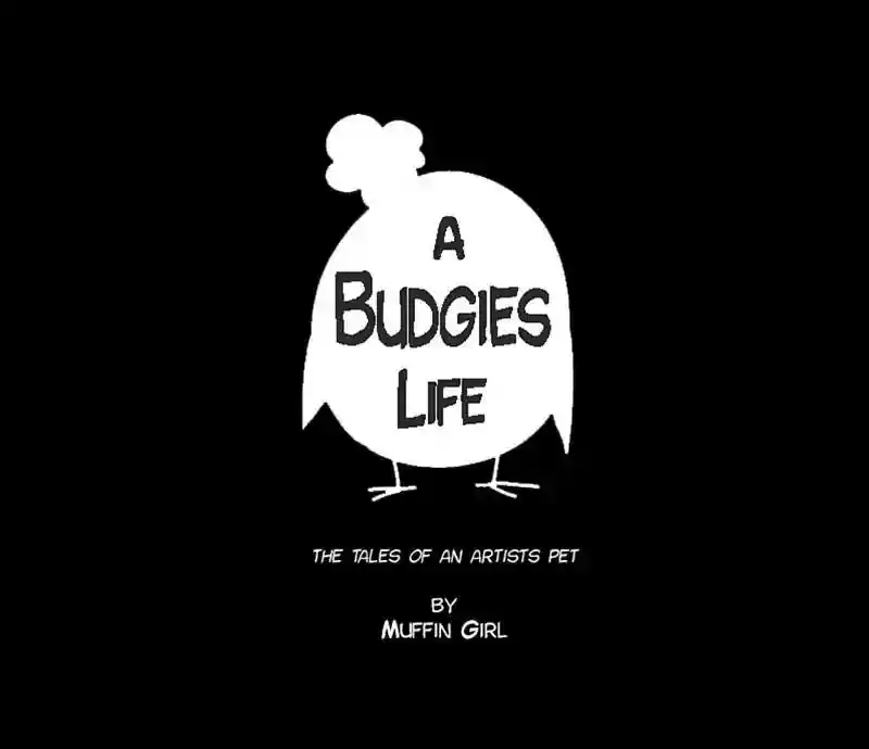 A Budgie's Life Chapter 80: Ep.80: