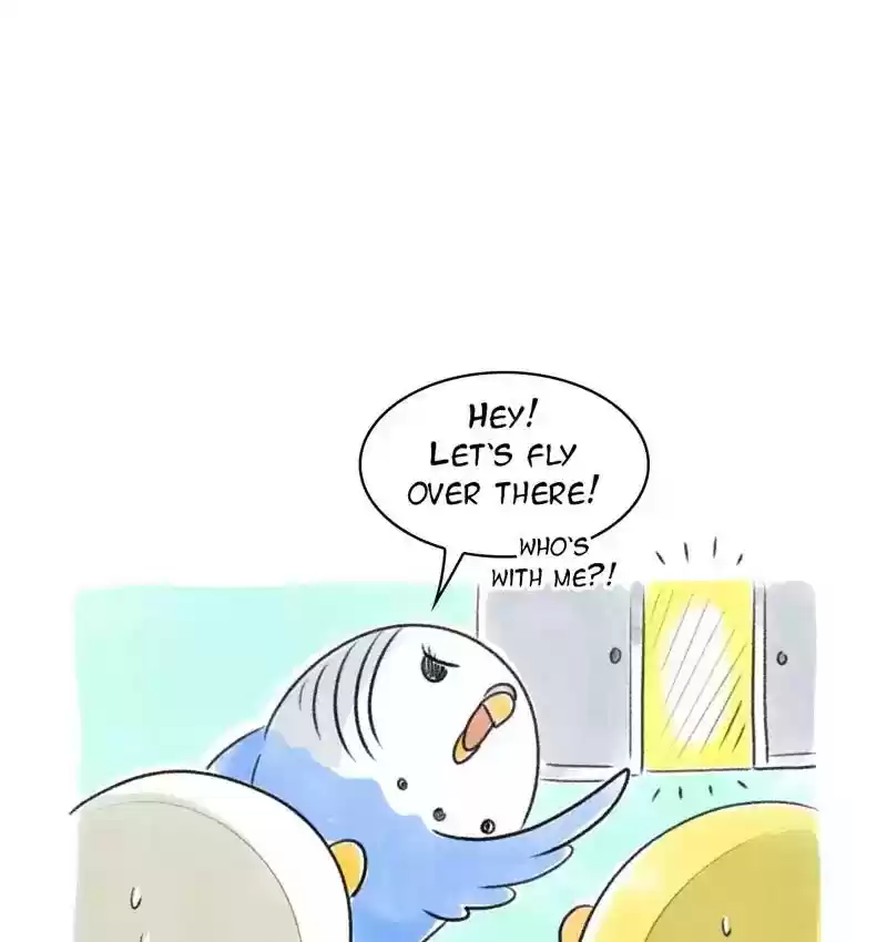 A Budgie's Life Chapter 81: Ep.81: