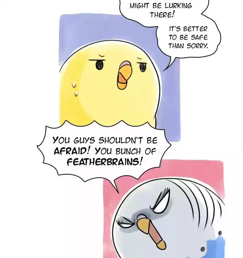 A Budgie's Life Chapter 81: Ep.81: