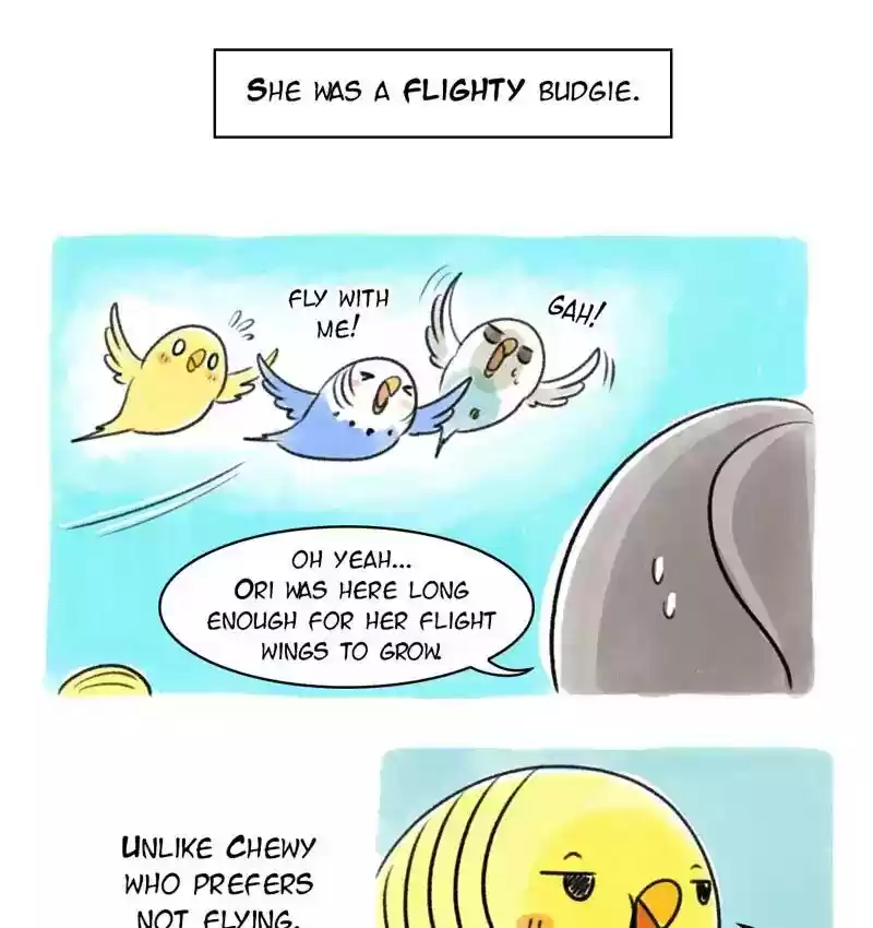 A Budgie's Life Chapter 81: Ep.81: