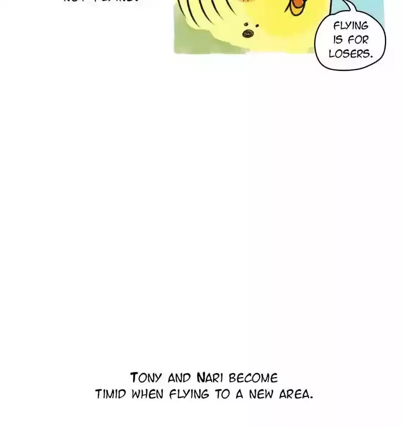 A Budgie's Life Chapter 81: Ep.81: