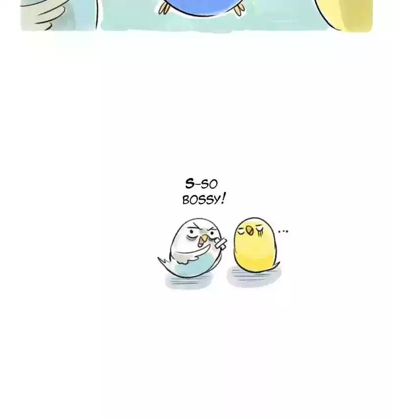 A Budgie's Life Chapter 81: Ep.81: