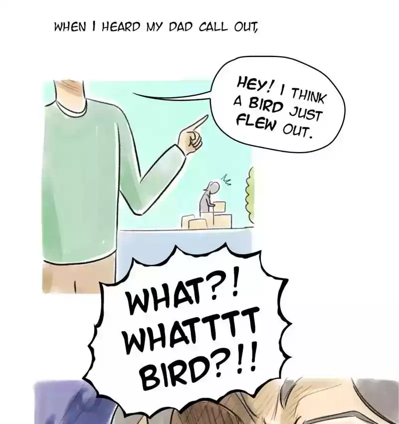 A Budgie's Life Chapter 81: Ep.81: