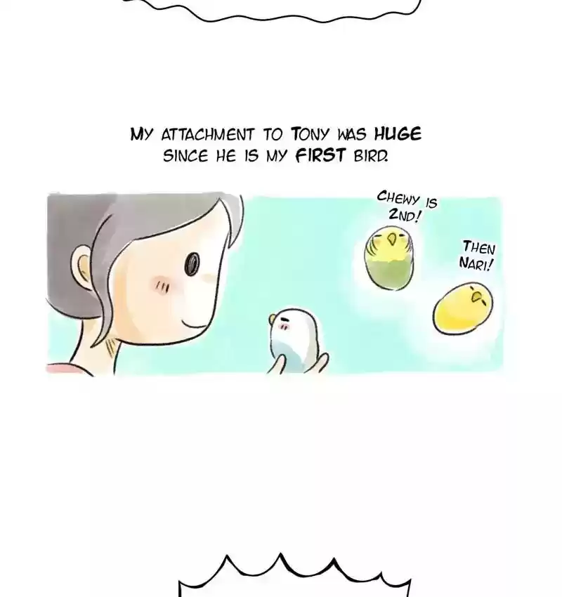 A Budgie's Life Chapter 81: Ep.81: