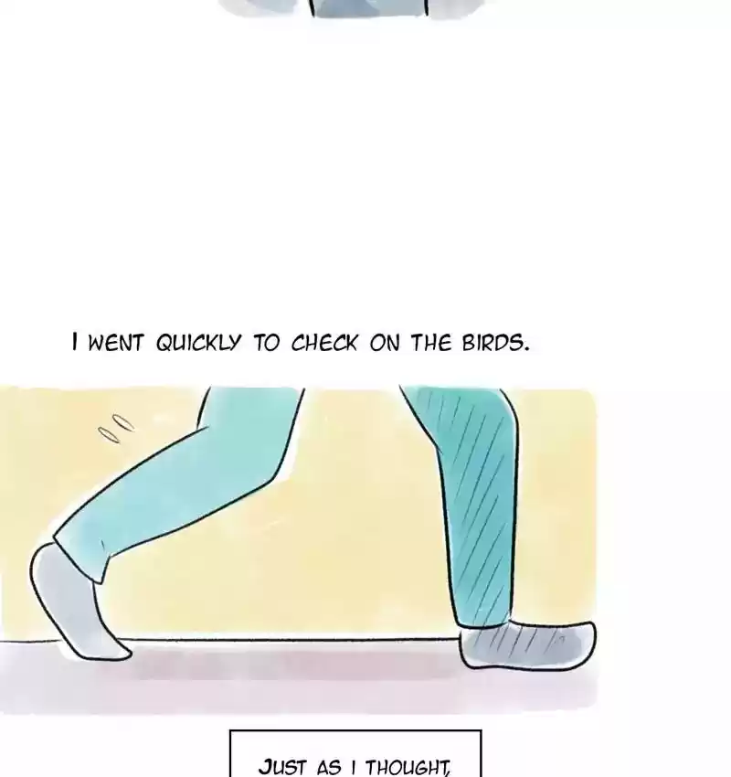 A Budgie's Life Chapter 81: Ep.81: