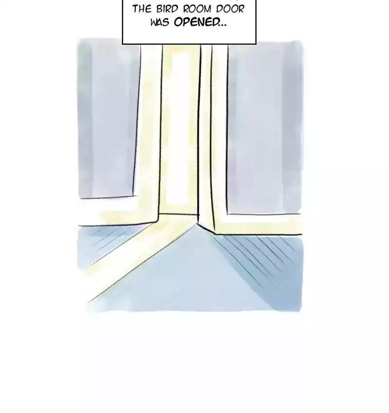 A Budgie's Life Chapter 81: Ep.81: