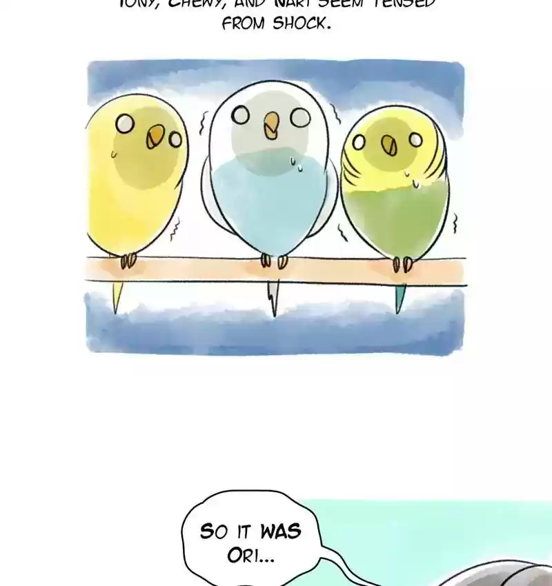 A Budgie's Life Chapter 81: Ep.81:
