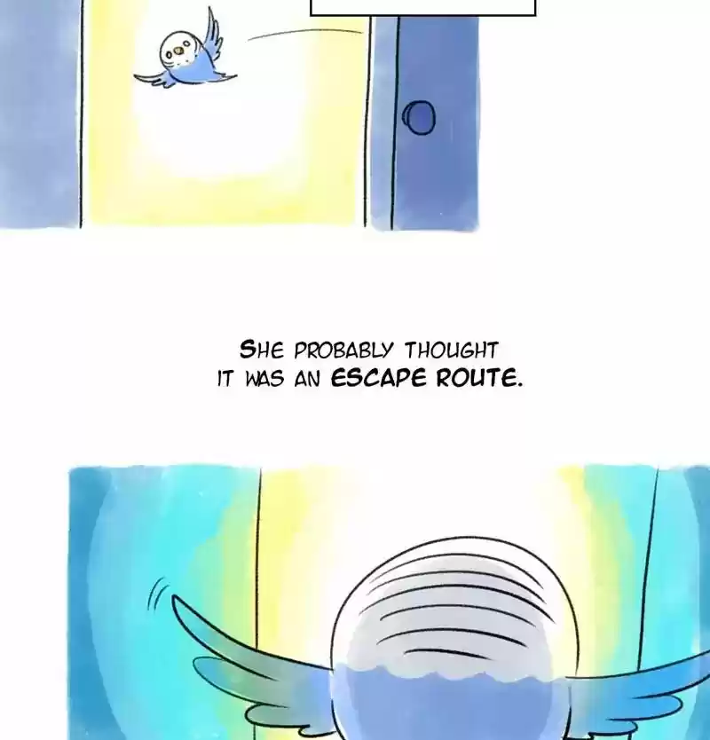 A Budgie's Life Chapter 81: Ep.81: