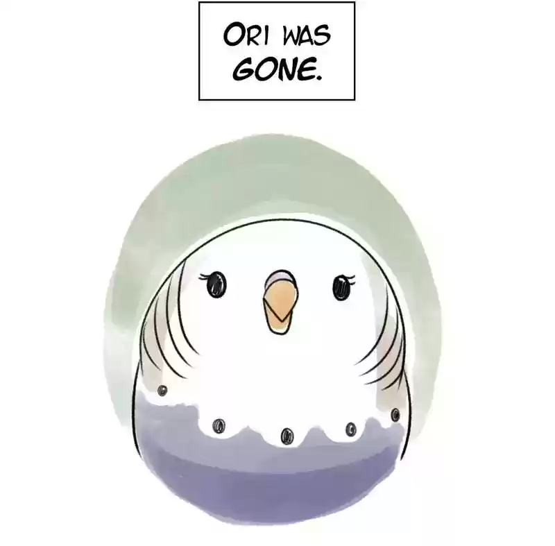 A Budgie's Life Chapter 81: Ep.81: