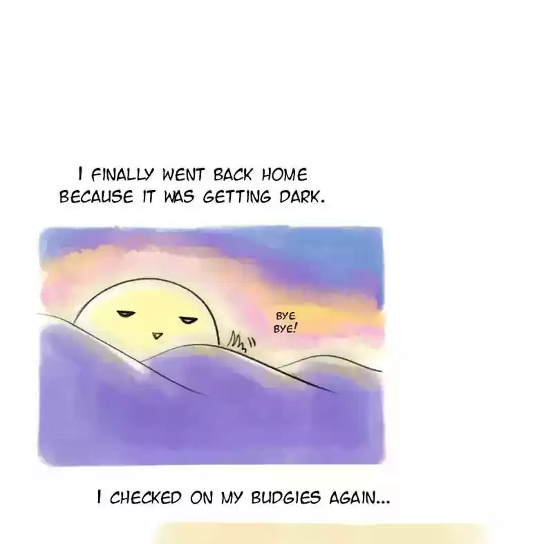 A Budgie's Life Chapter 81: Ep.81: