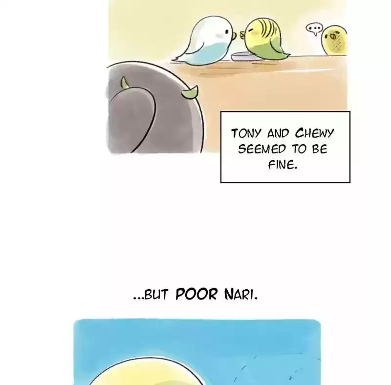 A Budgie's Life Chapter 81: Ep.81: