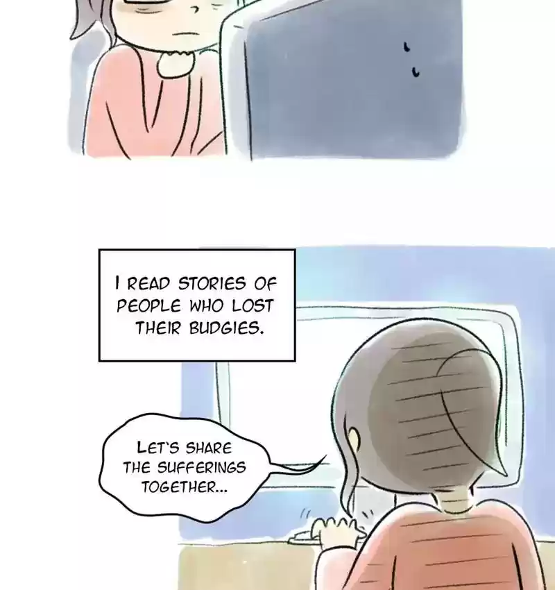 A Budgie's Life Chapter 82: Ep.82: