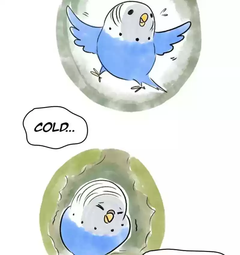 A Budgie's Life Chapter 82: Ep.82: