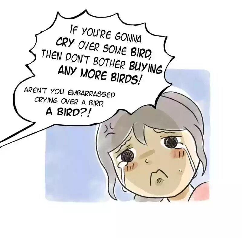 A Budgie's Life Chapter 82: Ep.82: