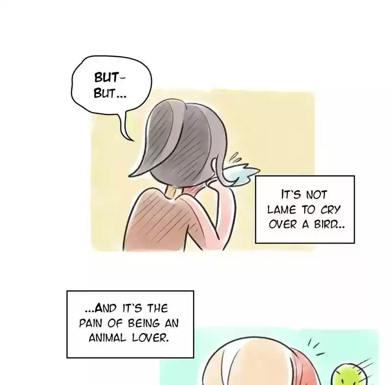 A Budgie's Life Chapter 82: Ep.82: