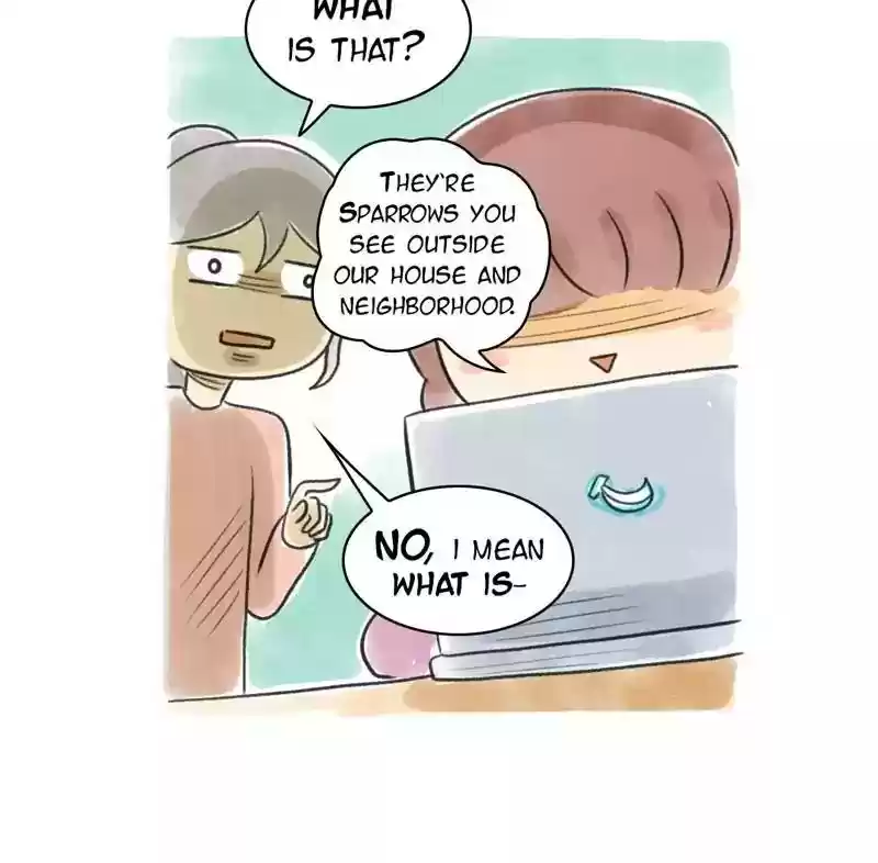 A Budgie's Life Chapter 82: Ep.82: