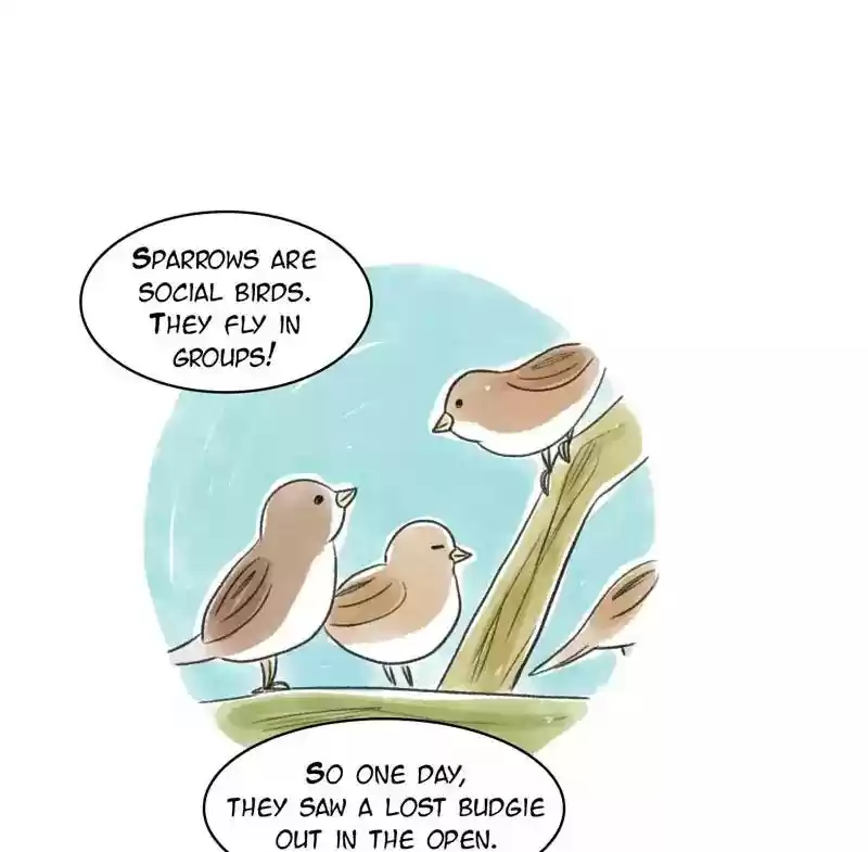 A Budgie's Life Chapter 82: Ep.82: