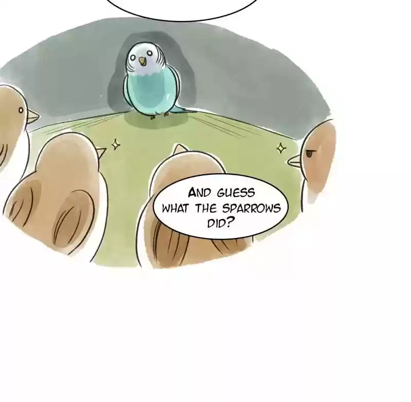 A Budgie's Life Chapter 82: Ep.82: