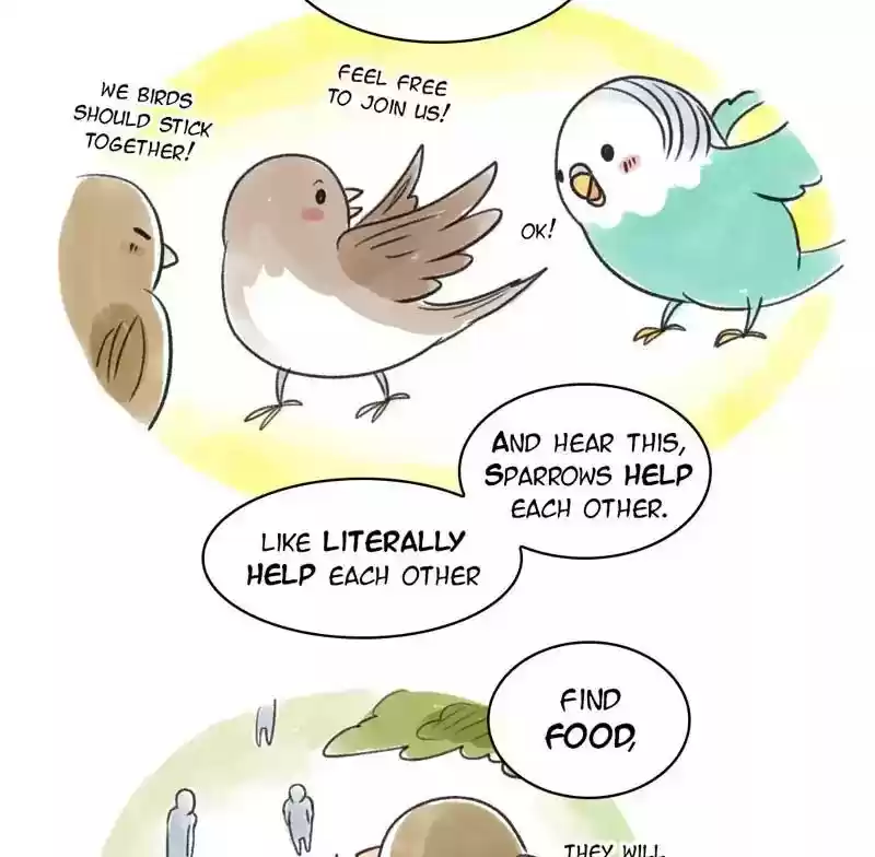 A Budgie's Life Chapter 82: Ep.82: