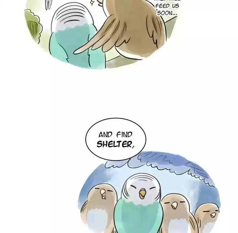 A Budgie's Life Chapter 82: Ep.82: