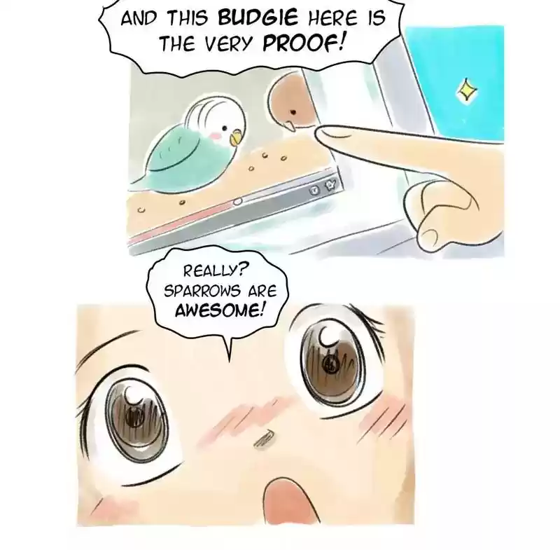A Budgie's Life Chapter 82: Ep.82: