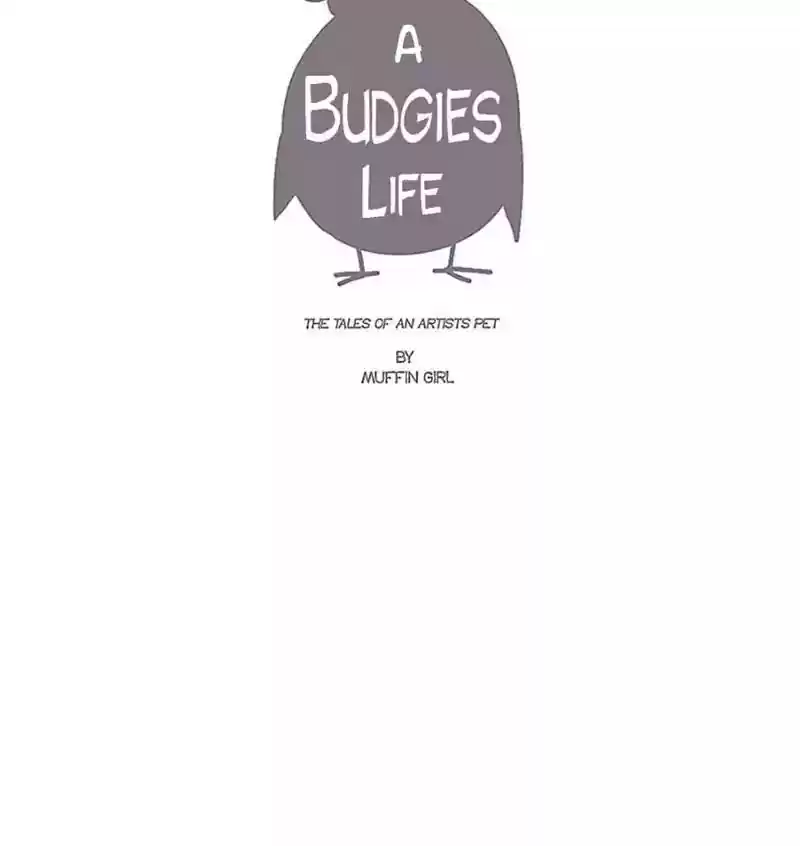 A Budgie's Life Chapter 82: Ep.82: