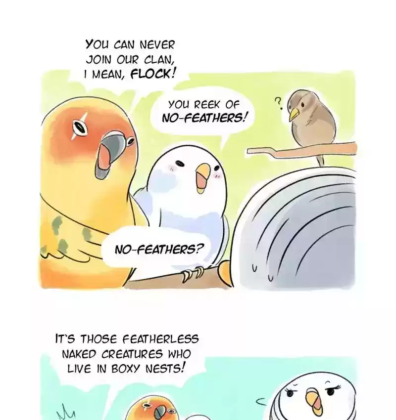 A Budgie's Life Chapter 82: Ep.82: