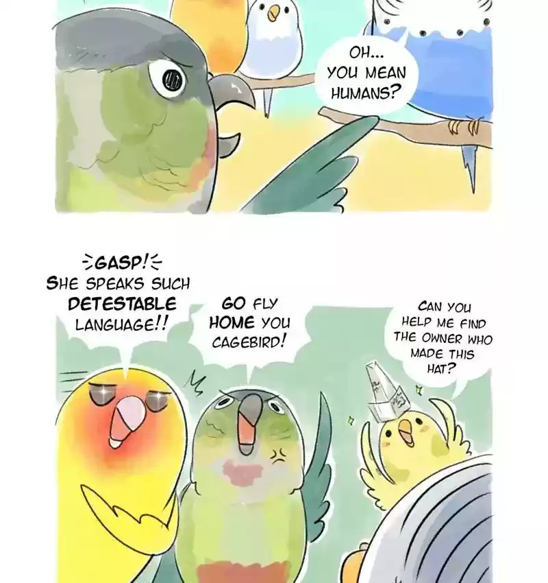 A Budgie's Life Chapter 82: Ep.82: