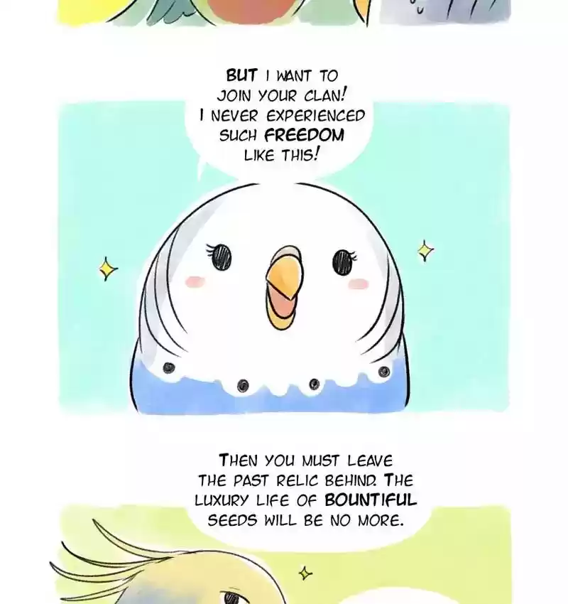 A Budgie's Life Chapter 82: Ep.82: