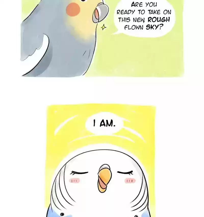 A Budgie's Life Chapter 82: Ep.82: