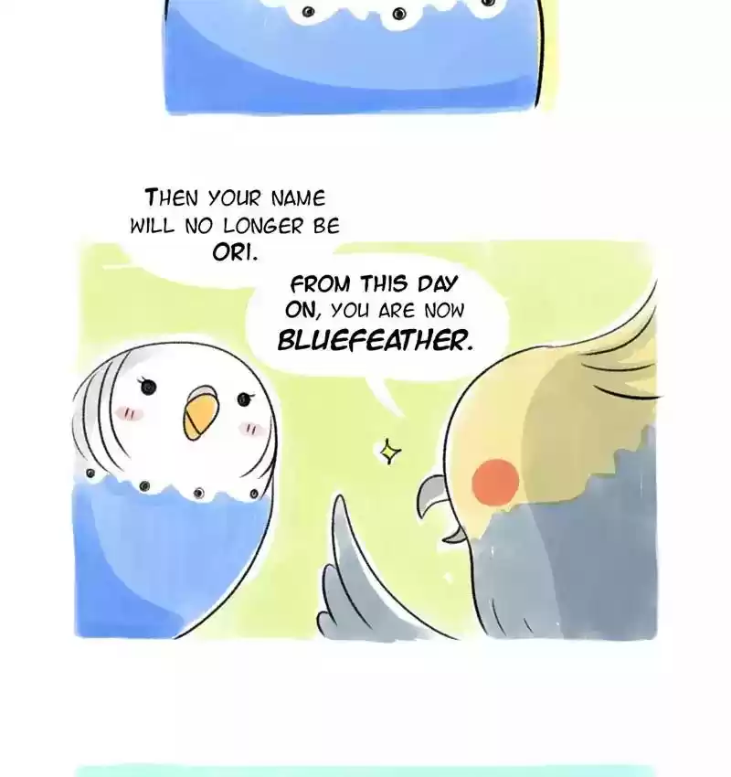 A Budgie's Life Chapter 82: Ep.82: