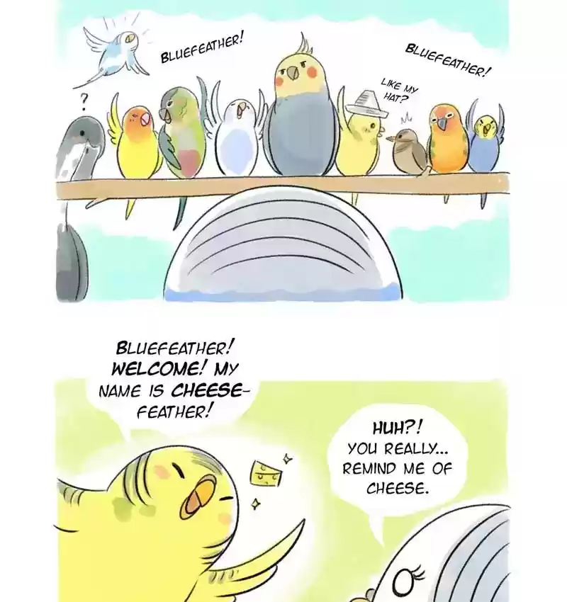 A Budgie's Life Chapter 82: Ep.82: