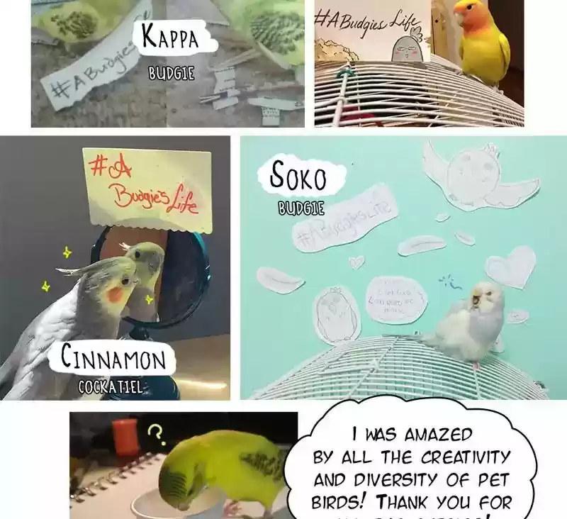 A Budgie's Life Chapter 82: Ep.82:
