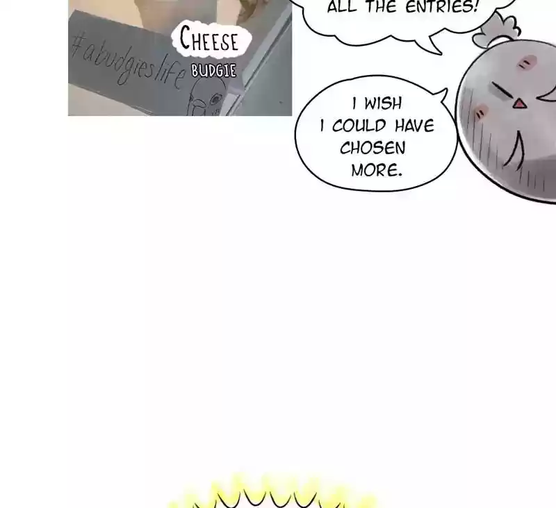 A Budgie's Life Chapter 82: Ep.82: