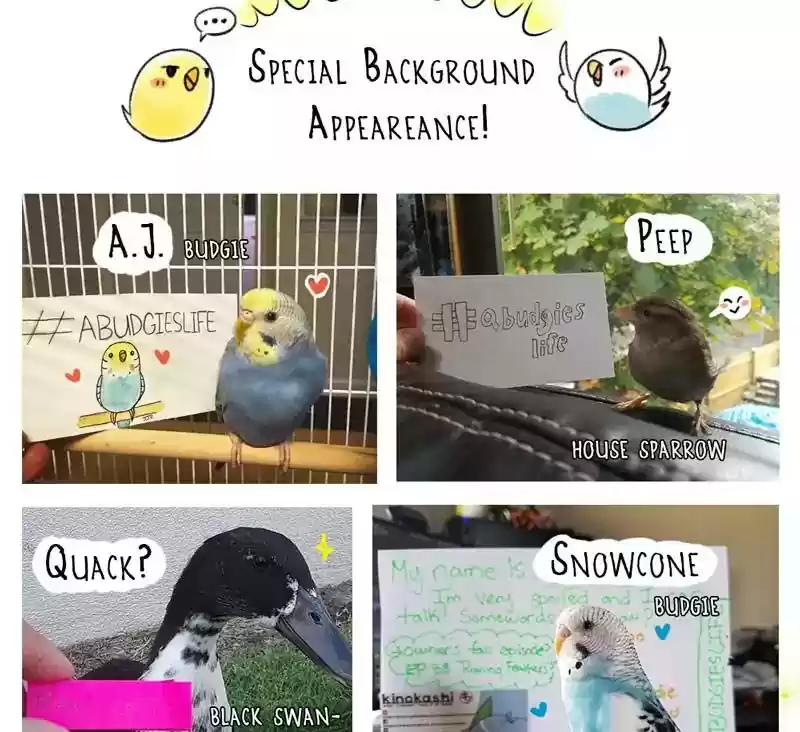 A Budgie's Life Chapter 82: Ep.82: