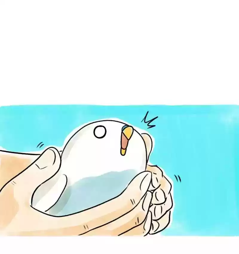 A Budgie's Life Chapter 83: Ep.83: