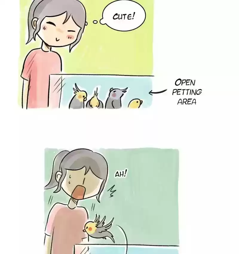 A Budgie's Life Chapter 83: Ep.83: