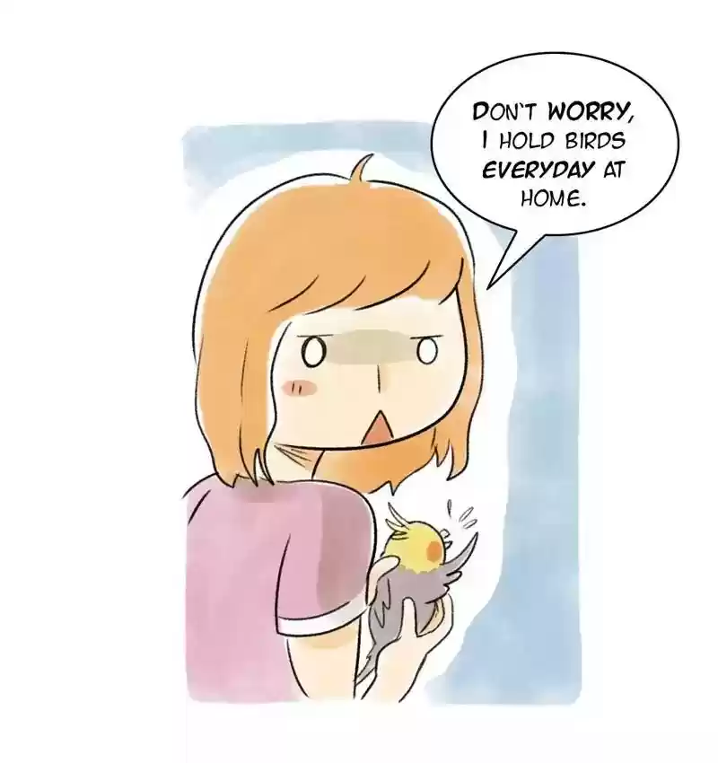 A Budgie's Life Chapter 83: Ep.83: