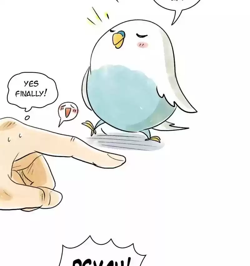 A Budgie's Life Chapter 83: Ep.83: