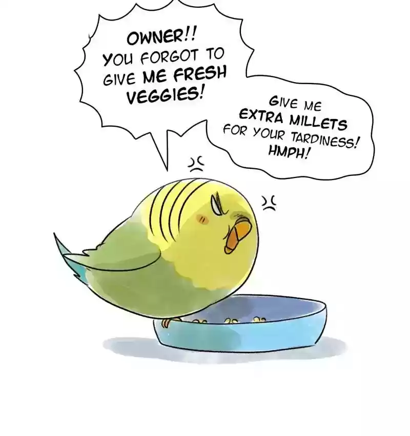 A Budgie's Life Chapter 83: Ep.83: