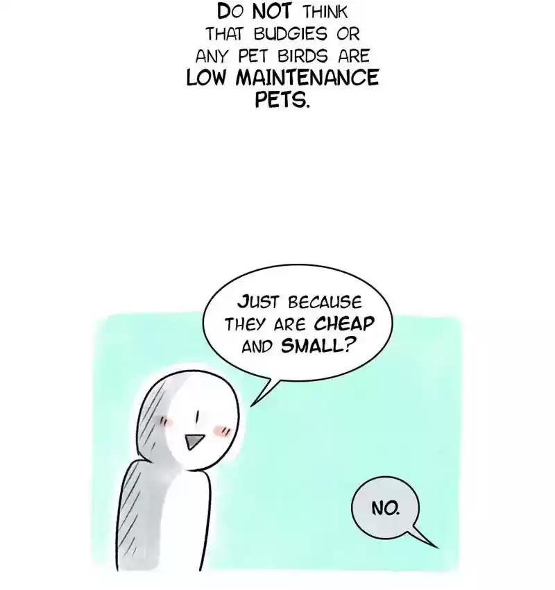 A Budgie's Life Chapter 83: Ep.83: