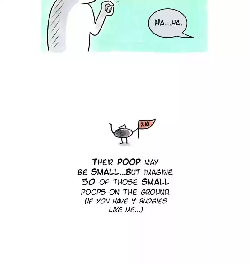 A Budgie's Life Chapter 83: Ep.83: